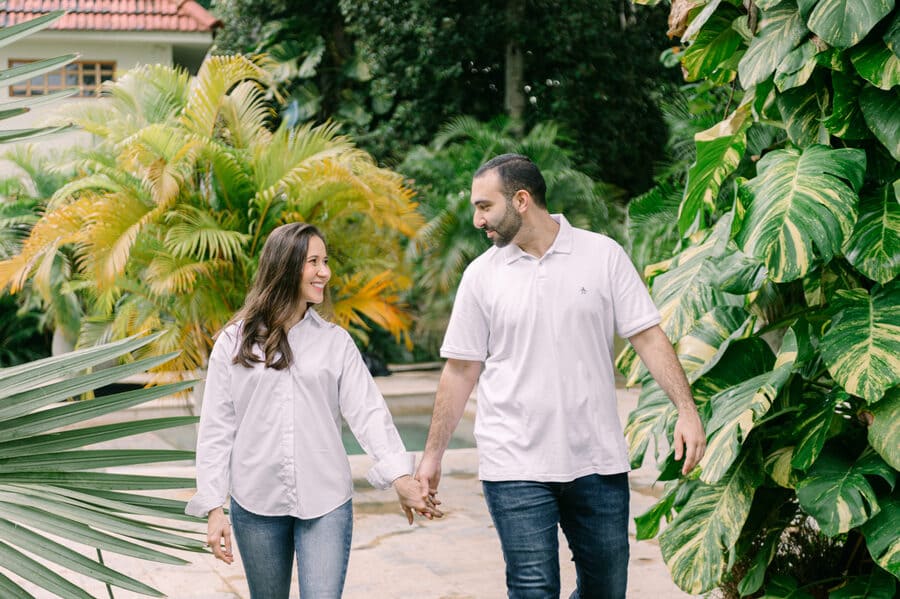 Descripción de la imagen 3